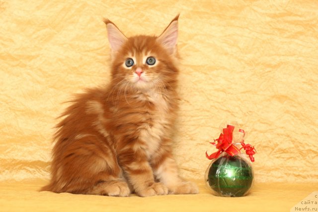 Фотография № 75039