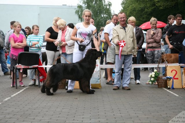 Фотография № 75041