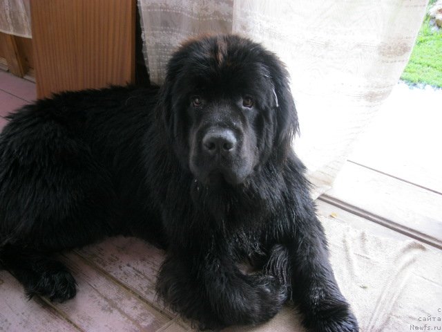 Фотография № 75064