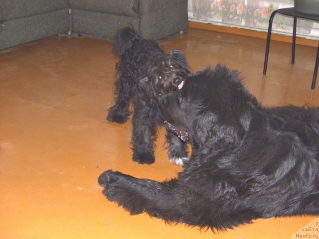 Фотография № 75165