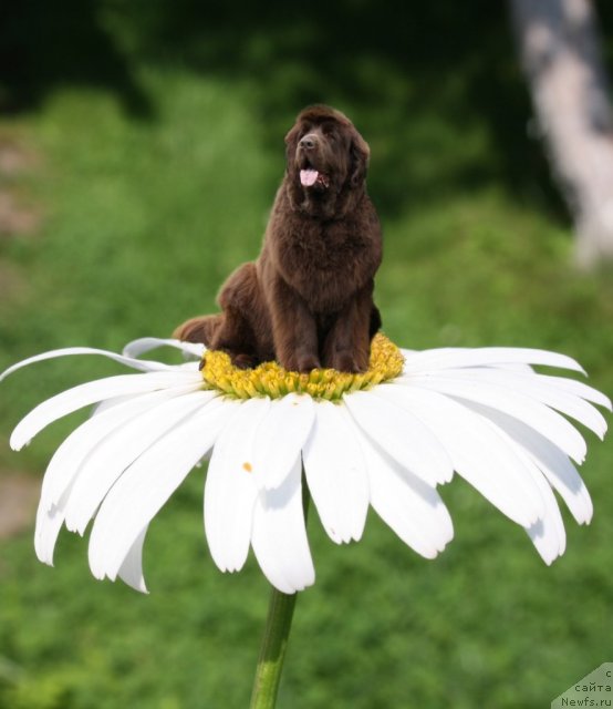 Фотография № 75168