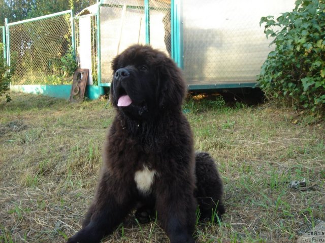 Фотография № 75193