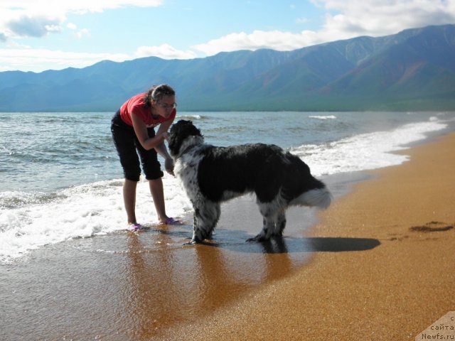 Фотография № 75201