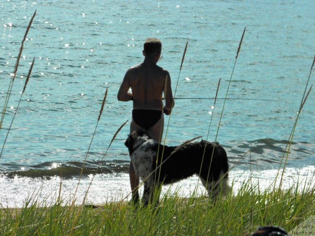 Фотография № 75206