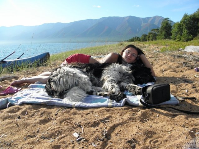 Фотография № 75208