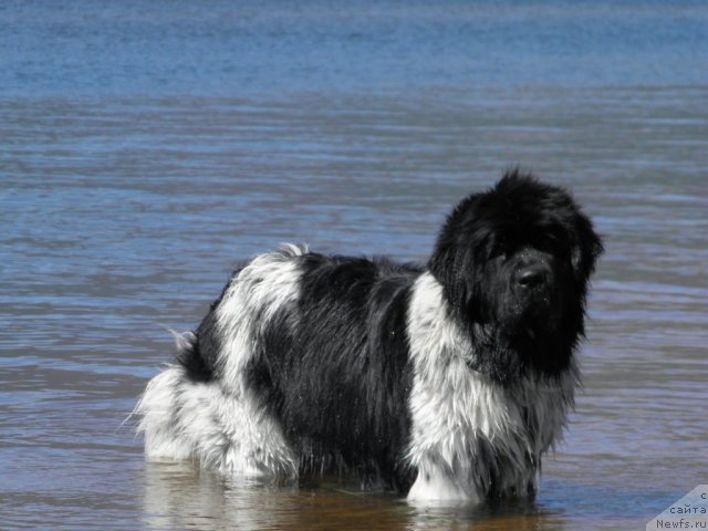 Фотография № 75211