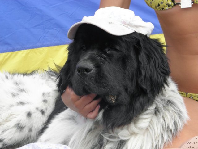 Фотография № 75213