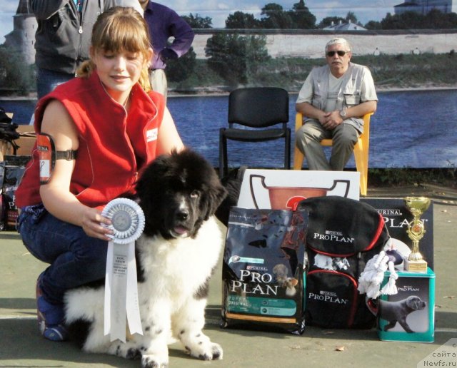 Фотография № 75233