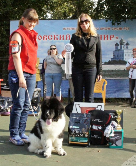 Фотография № 75234