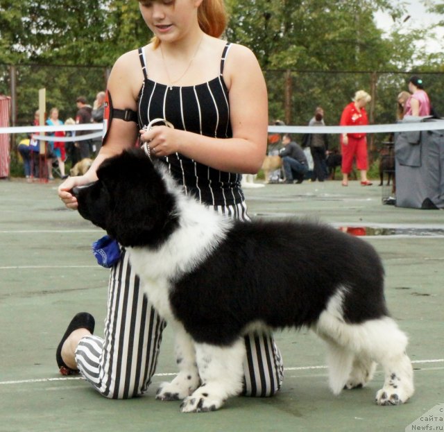 Фотография № 75236