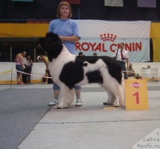 Фотография № 75239