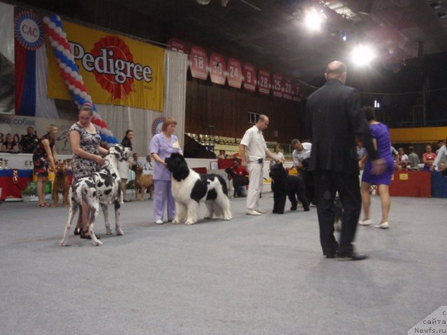 Фотография № 75242