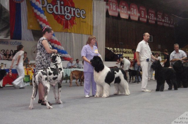 Фотография № 75243