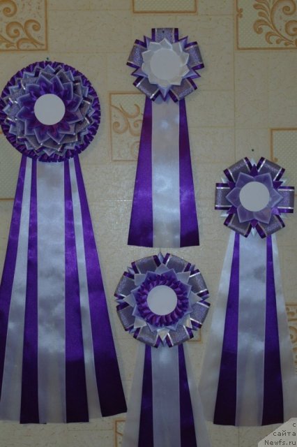 Фотография № 75246