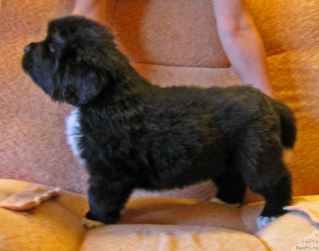 Фотография № 75251