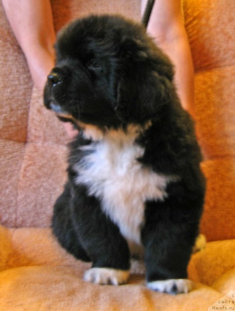 Фотография № 75253