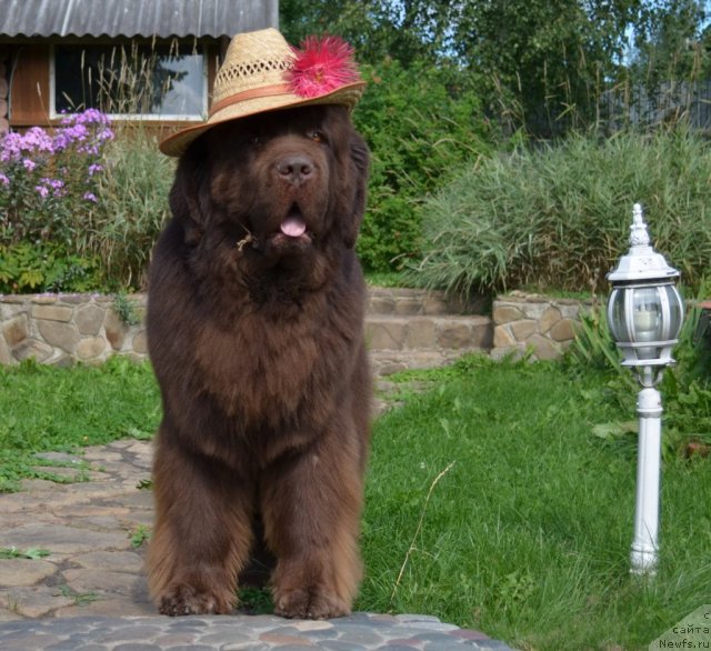 Фотография № 75313