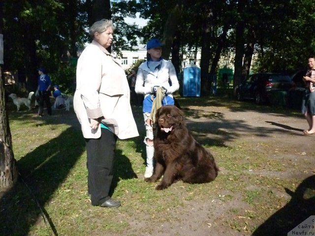 Фотография № 75317