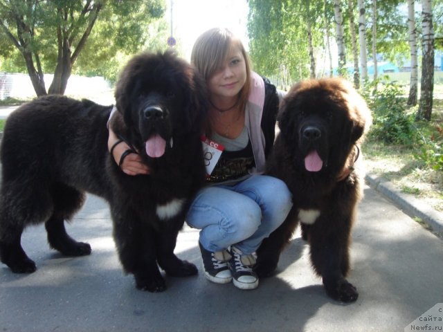 Фотография № 75364