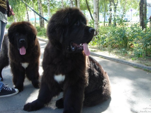 Фотография № 75365