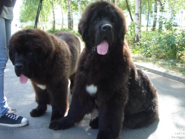 Фотография № 75366