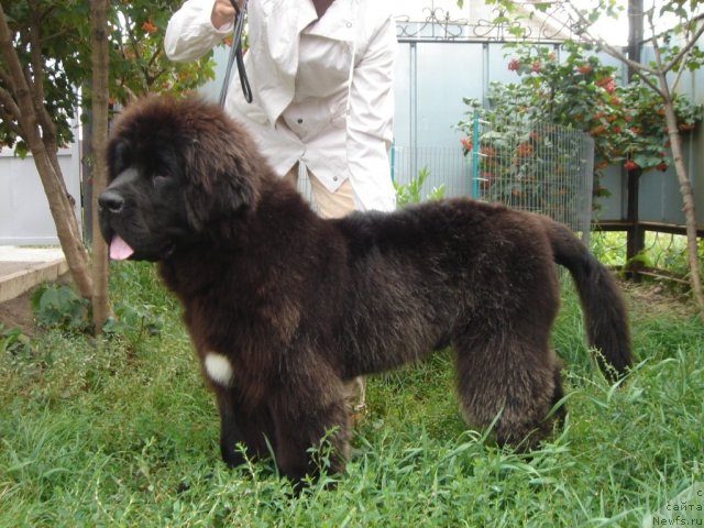 Фотография № 75367