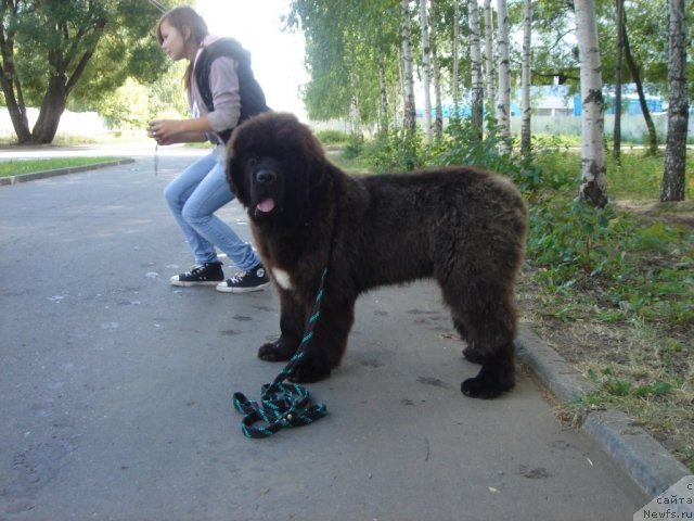 Фотография № 75370