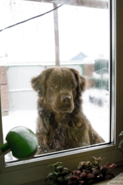 Фотография № 7538