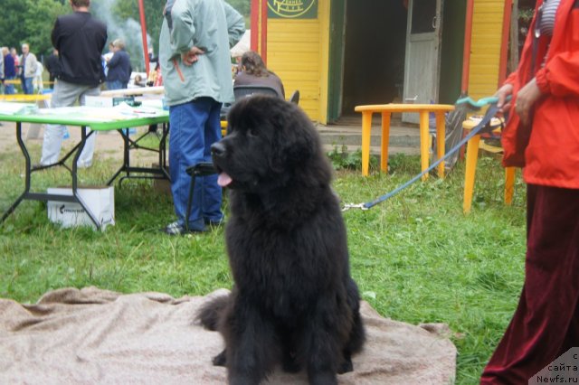 Фотография № 75393