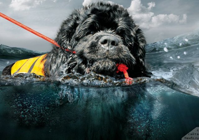 Фотография № 75405