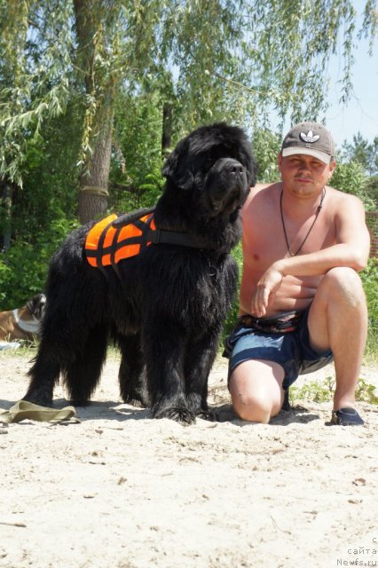 Фотография № 75425