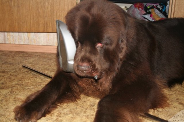 Фотография № 75430