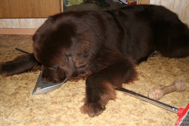 Фотография № 75431