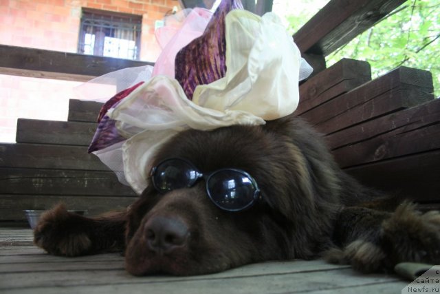 Фотография № 75433