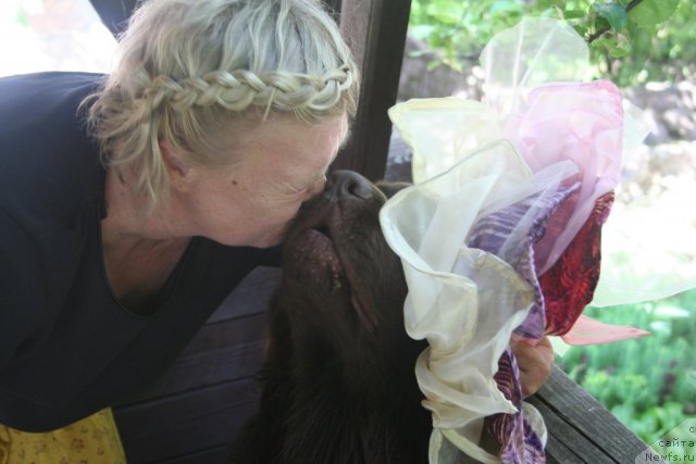 Фото: ньюфаундленд Fann'yuf Ura YA s Vami (Фанньюф Ура Я с Вами)