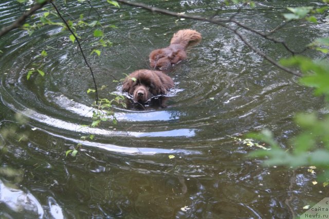 Фотография № 75443