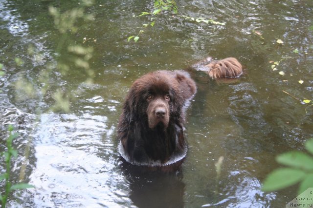 Фотография № 75444