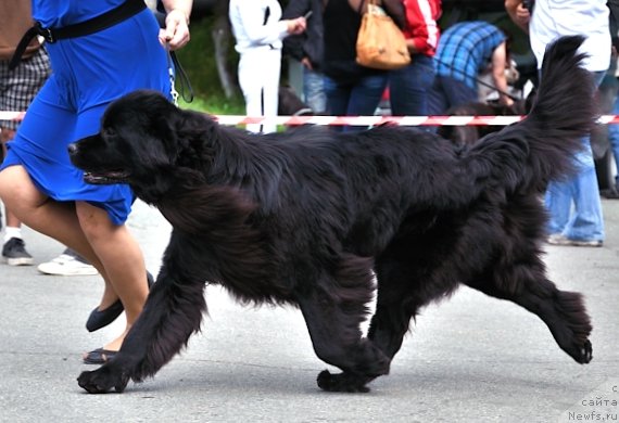 Фотография № 75466