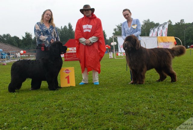 Фотография № 75527