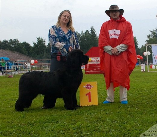 Фотография № 75552