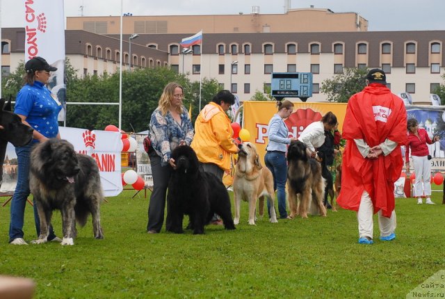 Фотография № 75554