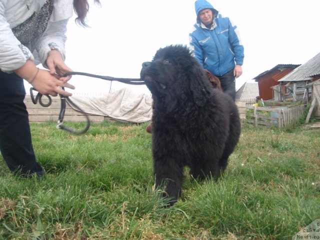 Фотография № 75573