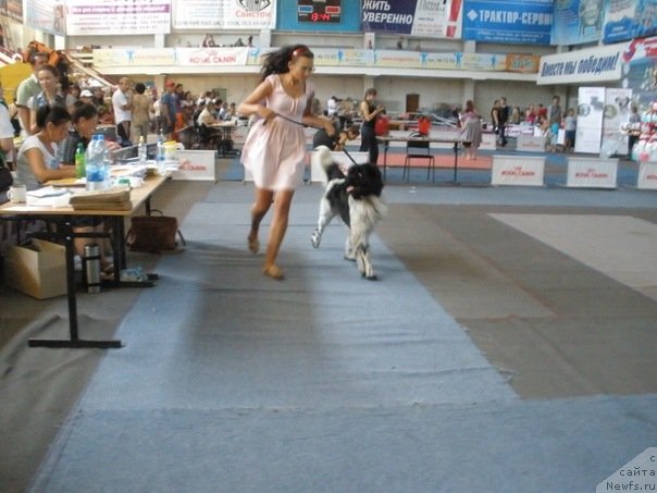 Фотография № 75608