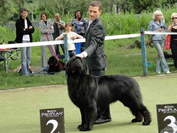 Фотография № 75611