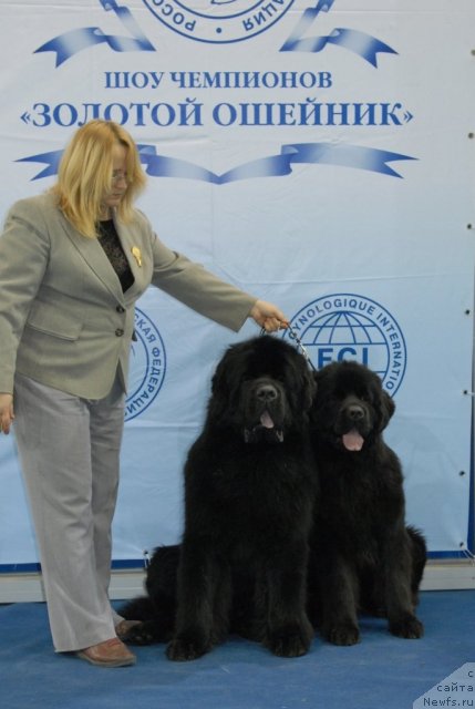 Фотография № 75695