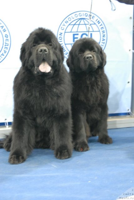 Фотография № 75696