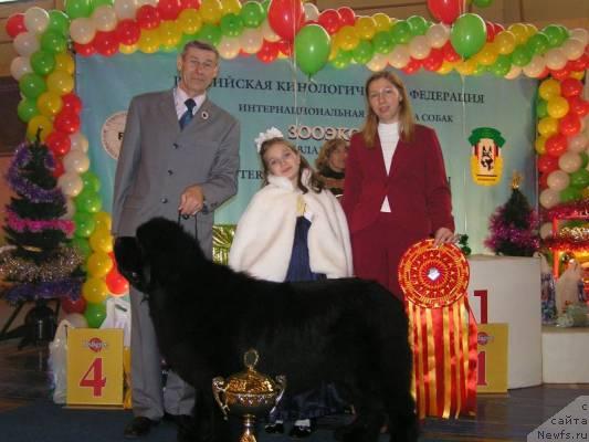 Фото: ньюфаундленд Ego Vysochestvo ot Sibirskogo Medvedja (Его Высочество от Сибирского Медведя), YUriy Rahtienko (Юрий Рахтиенко)