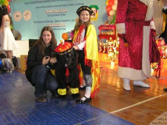 Фото: ньюфаундленд Ego Vysochestvo ot Sibirskogo Medvedja (Его Высочество от Сибирского Медведя)