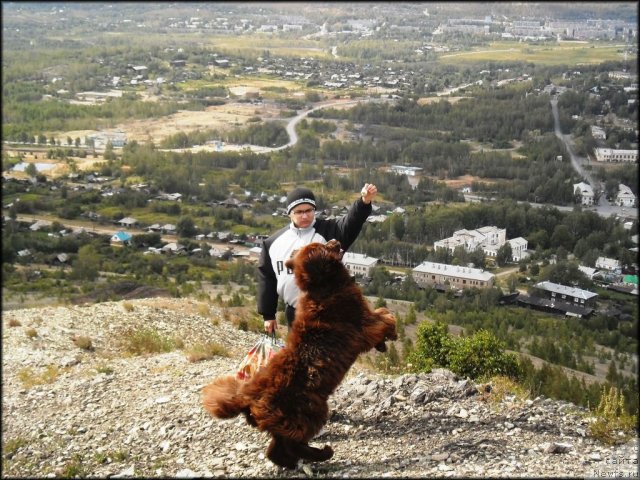 Фотография № 75815