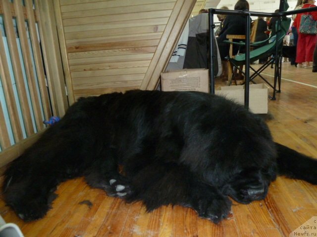 Фотография № 75982